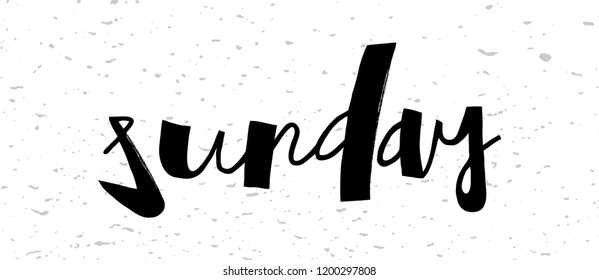 Sunday - lettering design for calender, posters ,flyers, T-shirts,cards, invitations, stickers, banners. Hand painted brush pen modern calligraphy isolated on white textured background. Vector eps 10.