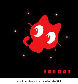 Sunday red color cat .