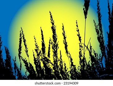 Sundown illustration
