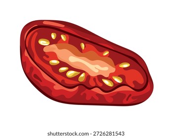 Sun-dried tomatoes. Flat vector clipart, illustration with isolated background.