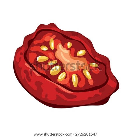 Sun-dried tomatoes. Flat vector clipart, illustration with isolated background.