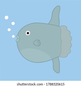 The sunfish is a lovely fish with a laid back look.