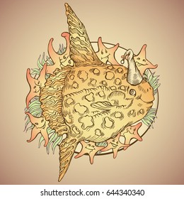 Sunfish in the nightcap on a plate with funny starfish and seaweed; RGB EPS 10 vector illustration