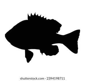 Sunfish from the ocean or sea. Idea of fishing.