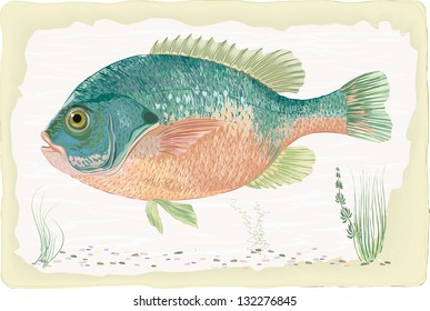 Sunfish on retro style background