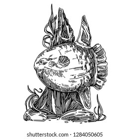 Sunfish. Sketch. Engraving style. Vector illustration.