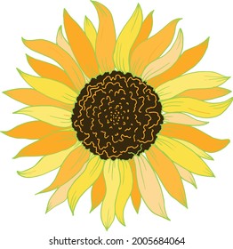 Sunflofer single vector element for disign, print, infitation. greeting card