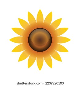 sunflower 1 logo icon template