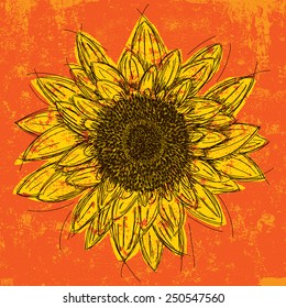 Sunflower