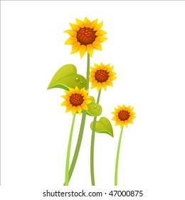 sunflower