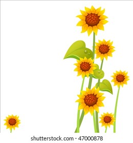 sunflower