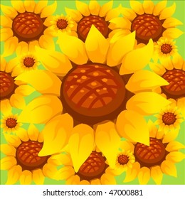 sunflower