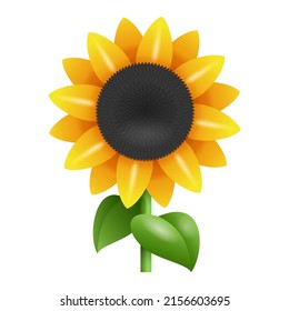 Sunflower 3D icon for cooking oil. Yellow flower with seeds svg