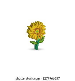 Sunflower, 3D, Isometric, Pixel, 8-bit, White background.