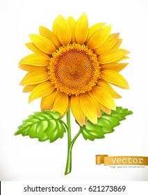 Sunflower 3d vector icon svg