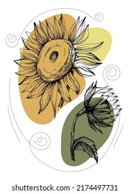 Sunflower Abstract Hand Painted Illustrations for Wall Decoration, Postcard, Social Media Banner, Brochure Cover Design Background. Modern Abstract Painting Artwork. Vector Pattern