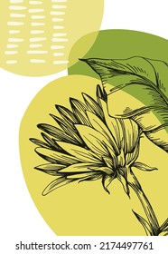 Sunflower Abstract Hand Painted Illustrations for Wall Decoration, Postcard, Social Media Banner, Brochure Cover Design Background. Modern Abstract Painting Artwork. Vector Pattern