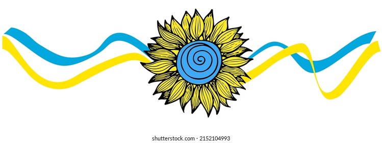 Sunflower against the background of blue and yellow developing ribbons as a symbol of the flag of Ukraine and freedom