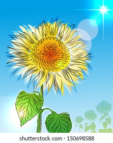 sunflower against blue sky and sunlight