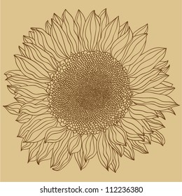 sunflower background