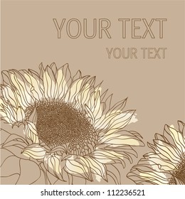 sunflower background