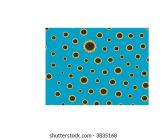 sunflower background