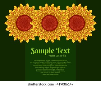 Sunflower background