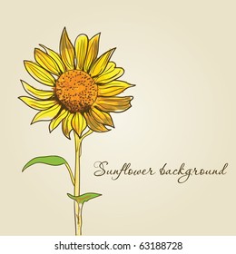 sunflower background