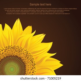 Sunflower background