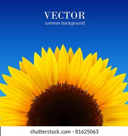 Sunflower background with blue sky, vector.