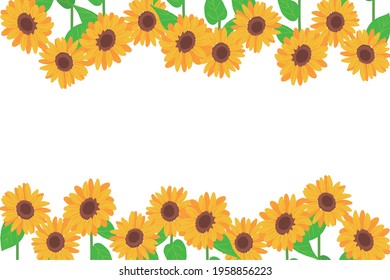 sunflower, background illustration, frame material