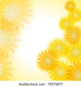 Sunflower background. Illustration vector.