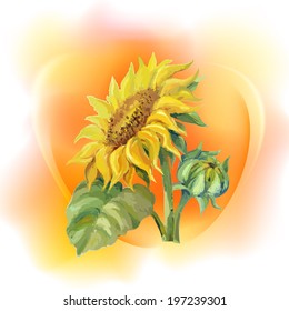 Sunflower background, oil painting flower