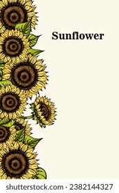 Sunflower background. Sketch style flowers and leaves, black seeds. Yellow petals. Vintage decorative greeting and invitation, oil packaging. Card banner or poster. Hand drawn vector illustration