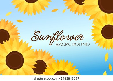 Sonnenblumen Hintergrund Frühling Sommer Blume