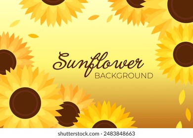 Sunflower Background Spring Summer Flower