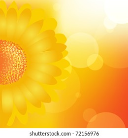 Sunflower Background, Vector Illustration
