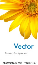 Sunflower background. Vector sun flower brochure layout design