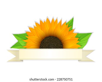 Sunflower and banner against white background