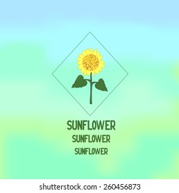 sunflower banner. background-vector illustration