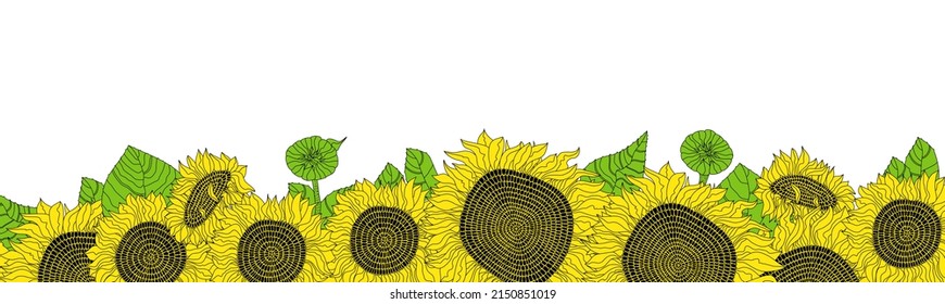 Sunflower banner. Colorful floral banner with sunflowers on light background. Layout template. Modern floral summer composition. Copy space.Hand drawn vector Illustration.