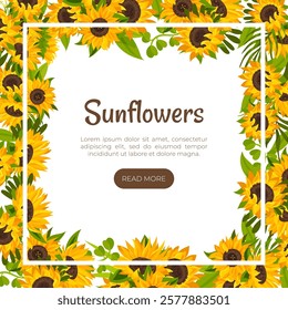 Sunflower Banner Design with Field Crop Vector Template