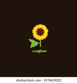 Sunflower with Beautiful Design and Brown Background