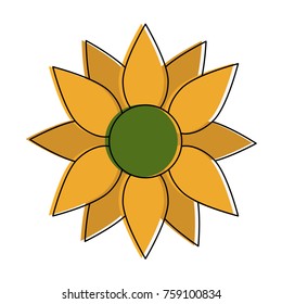 Sunflower beautiful flower icon vector illustration graphic design