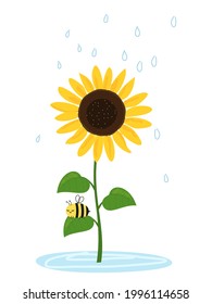 Sunflower, bee cartoon and rain drops on white background vector illustration.