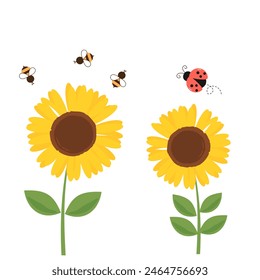 Girasol, dibujos animados de abejas y mariquita aislados en el Vector de fondo blanco.