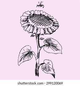  sunflower with bee, doodle style, sketch illustration