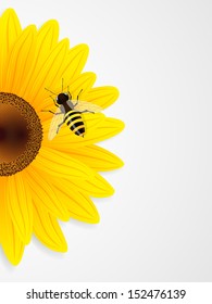 Sunflower and bee on white background. Vector illustration.