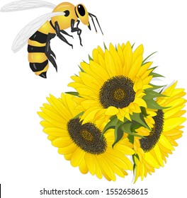 Sunflower Bee On White Background Agriculture Stock Vector (Royalty ...