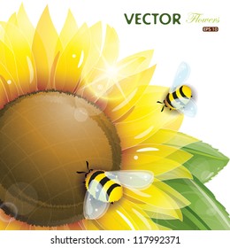 Sunflower and bee, vector illustration, eps-10